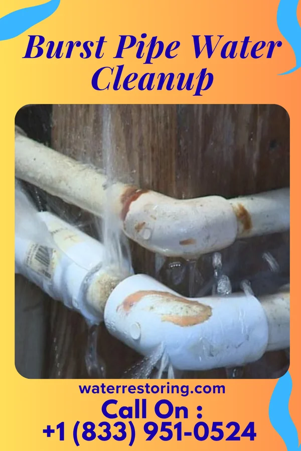 Burst Pipe Water Cleanup in Hill View Heights, WY
