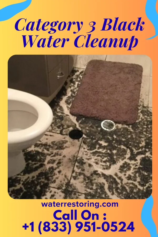Category 3 Black Water Cleanup in Hill View Heights, WY