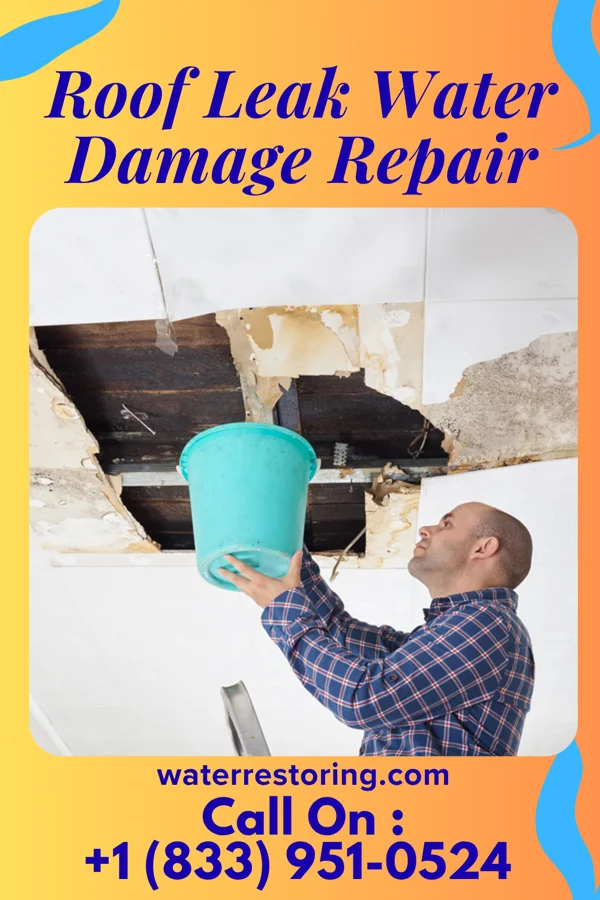 Roof Leak Water Damage Repair in Hill View Heights, WY